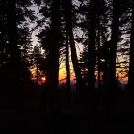 California QSO Party 2025