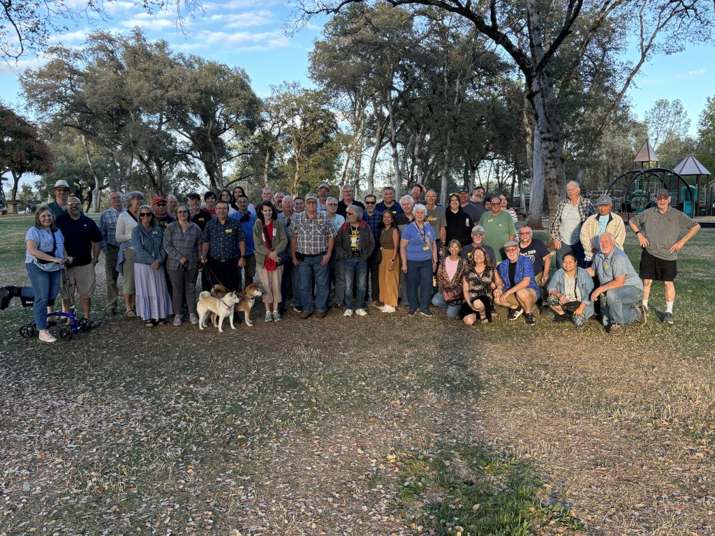 Potluck Picnic In The Park 2024
