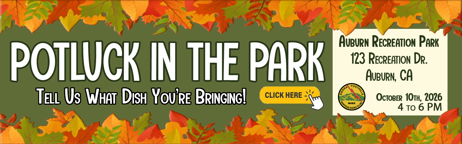 Potluck In The Park (01)