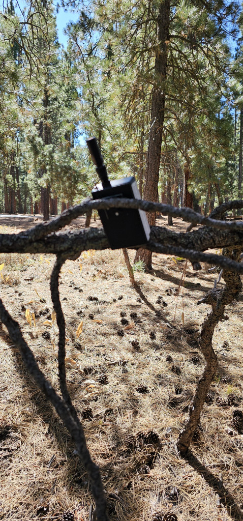 Fall Campout (September 2026)