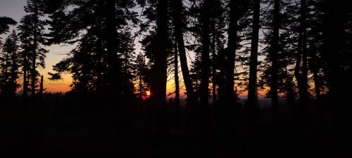 2025 California QSO Party (October 4-5, 2025)