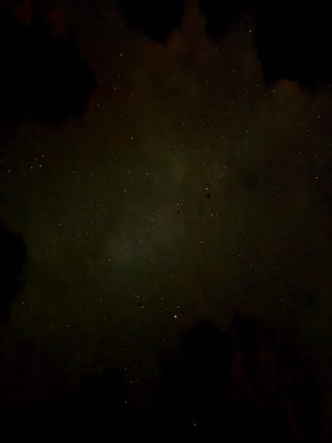 SFARC Fall Campout (September 18 - 21, 2025)