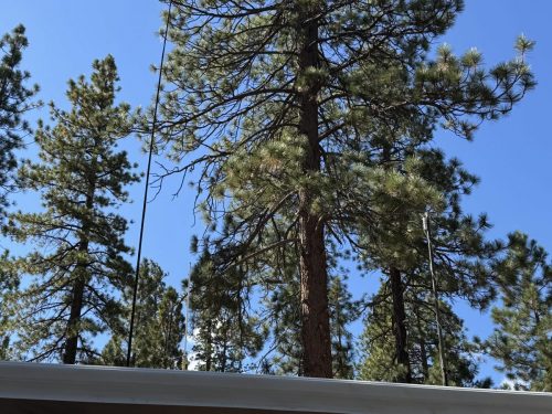 SFARC Fall Campout (September 18 - 21, 2025)